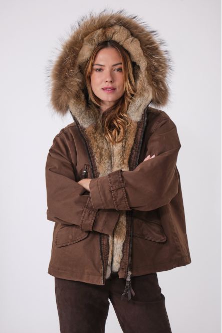 BELLA 515 Brown